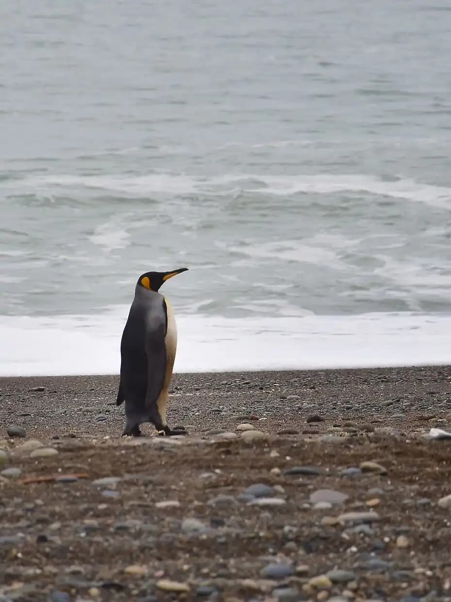 Experiencia turística 8