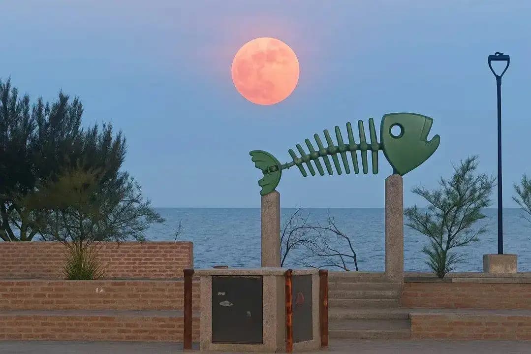 Experiencia turística 11