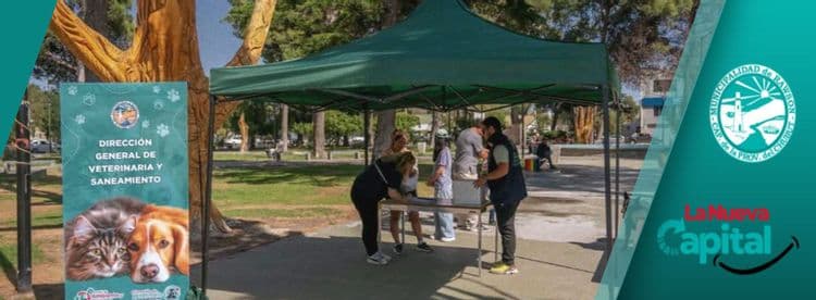Imagen de la noticia que habla sobre: LA MUNICIPALIDAD DE RAWSON REALIZARÁ CAMPAÑA DE VACUNACIÓN POR EL DÍA DEL ANIMAL