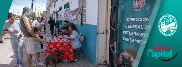 Imagen de la noticia que habla sobre: RAWSON: NUEVA CAMPAÑA GRATUITA DE CASTRACIÓN Y VACUNACIÓN EN EL BARRIO 490 VIVIENDAS