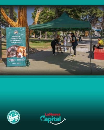 Imagen del carrusel que muestra la noticia o novedad LA MUNICIPALIDAD DE RAWSON REALIZARÁ CAMPAÑA DE VACUNACIÓN POR EL DÍA DEL ANIMAL