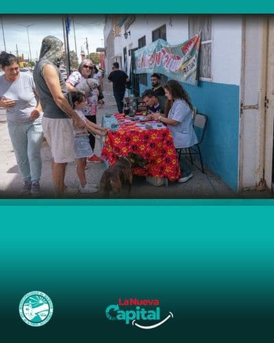 Imagen del carrusel que muestra la noticia o novedad RAWSON: NUEVA CAMPAÑA GRATUITA DE CASTRACIÓN Y VACUNACIÓN EN EL BARRIO 490 VIVIENDAS