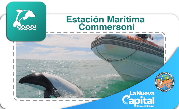 Estación Marítima Commersoni