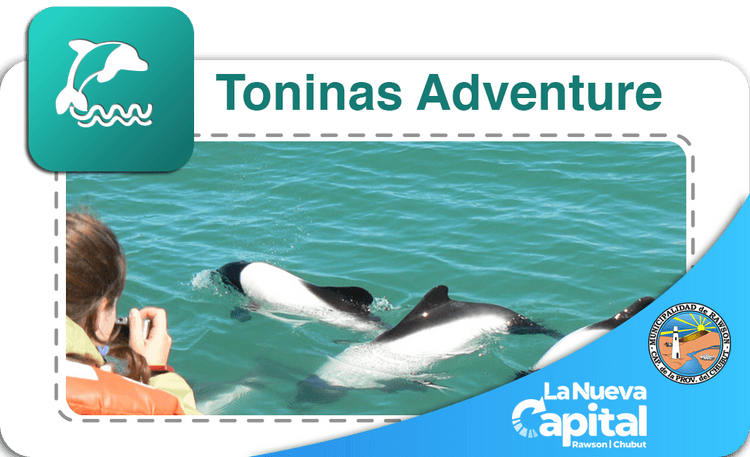 Toninas Adventure